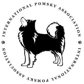 International Pomsky Association Certification